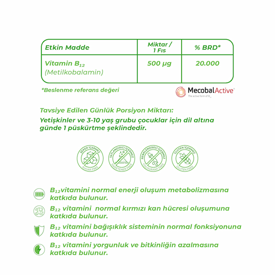 Wellcare Vitamin B12 Metilkobalamin 500 Mcg Dil Altı Sprey 5 Ml